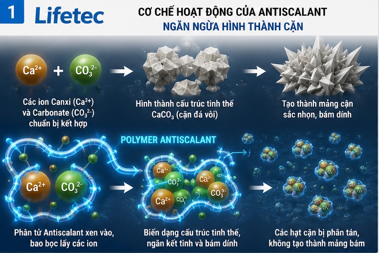 Nguyên lý hoạt động ức chế kết tinh và phân tán cặn của hóa chất Antiscalant.