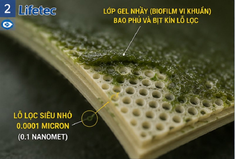 Lớp màng nhầy biofilm vi khuẩn gây nghẹt màng RO công nghiệp