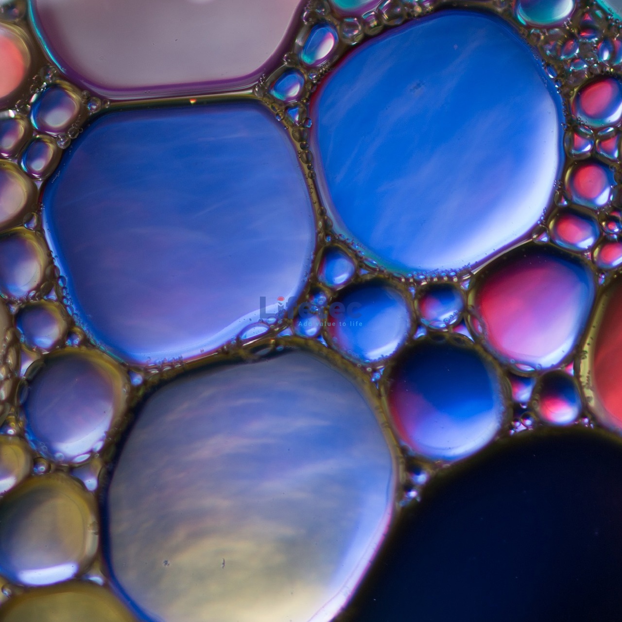 Diamite™ HpH