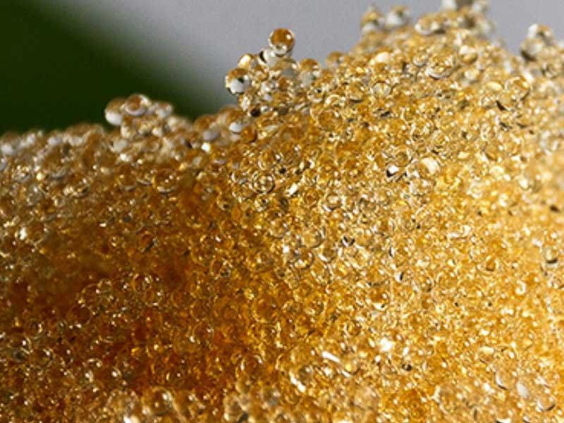 Khả năng chịu nhiệt của hạt nhựa Cation | Phân tích chuyên sâu và hướng dẫn vận hành