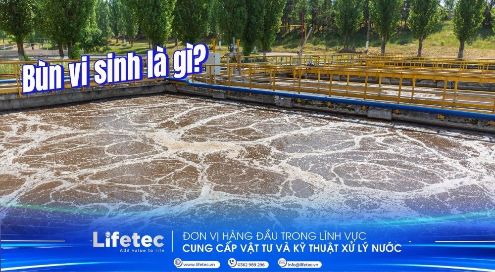 Bùn vi sinh là gì? Phân loại, cách nuôi cấy và vai trò trong xử lý nước thải