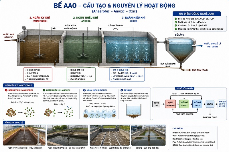 Cấu tạo và nguyên lý hoạt động của bể AAO