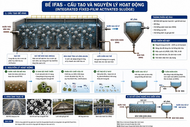 Cấu tạo và nguyên lý hoạt động của bể IFAS