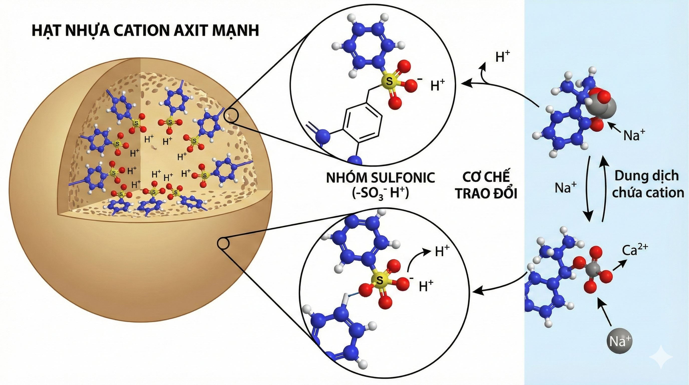 Hạt cation axit mạnh (SAC) - “Chìa khóa vàng” trong công nghệ làm mềm và khử khoáng nước