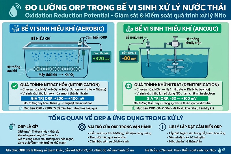 Đo lường ORP trong bể vi sinh xử lý nước thải