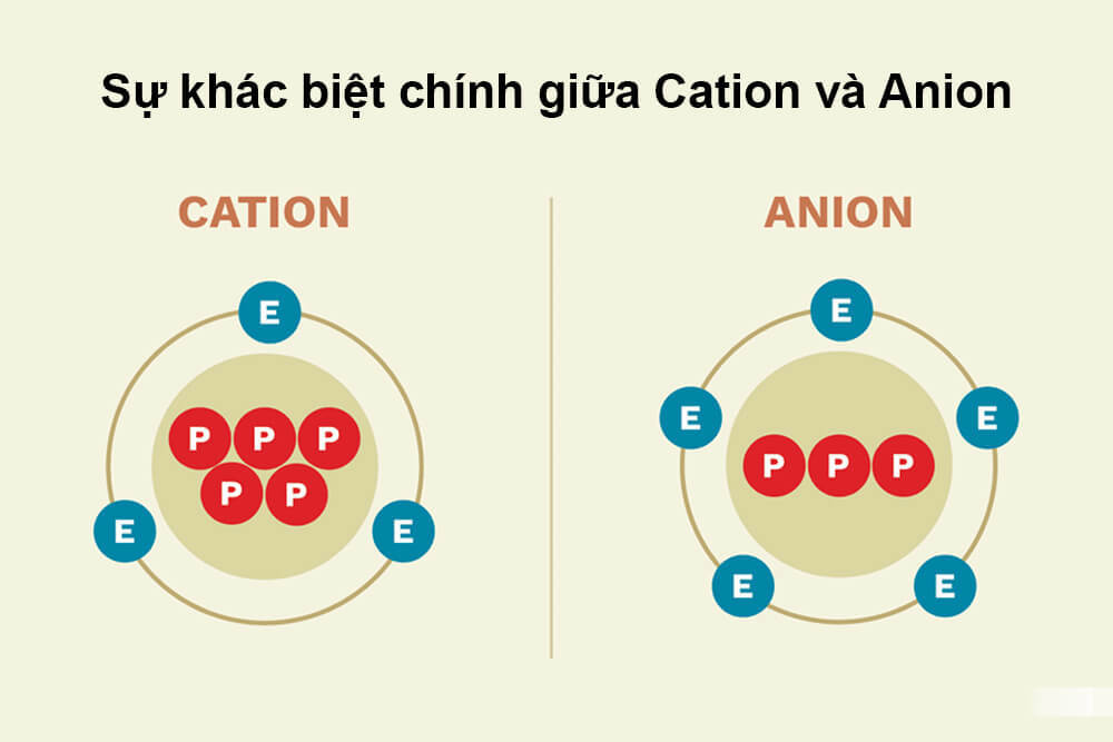 So sánh hạt nhựa Cation và Anion | Giải pháp nào tối ưu cho xử lý nước