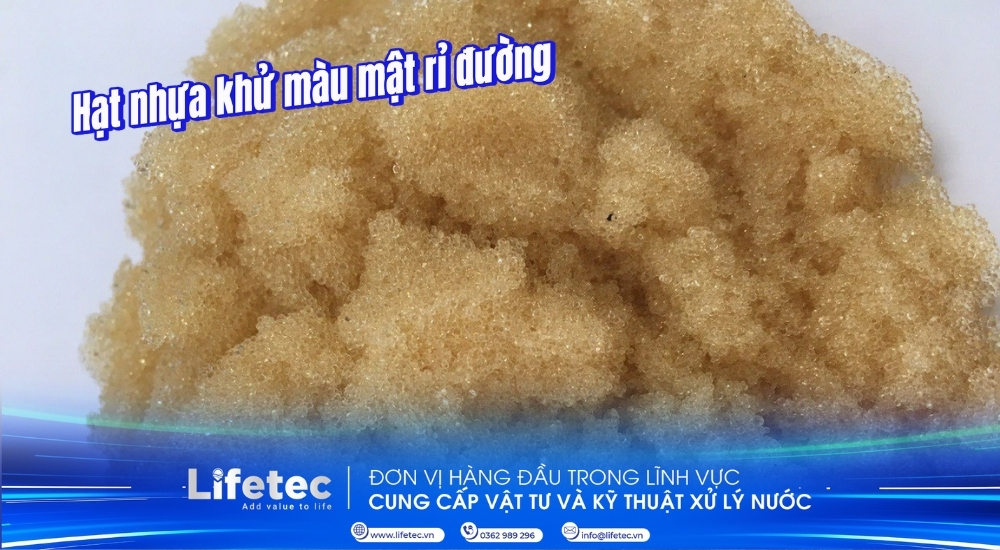 Hạt nhựa khử màu mật rỉ đường | Giải pháp tối ưu cho ngành đường và thực phẩm