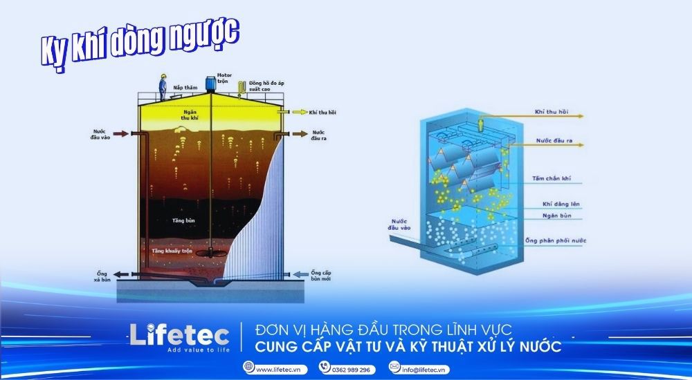 Kỵ khí dòng ngược (UASB) | Giải pháp xử lý nước thải hiệu quả và bền vững