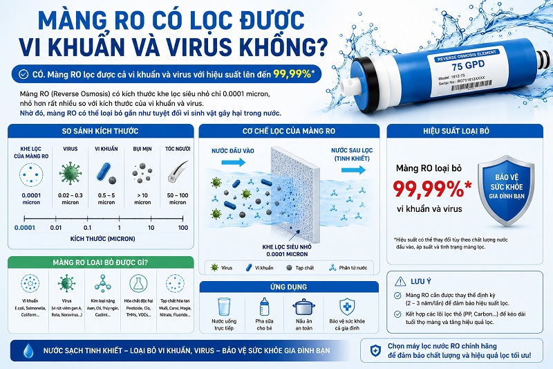 Màng RO Có Lọc Được Vi Khuẩn, Virus Không? Lời Giải Đáp Chi Tiết