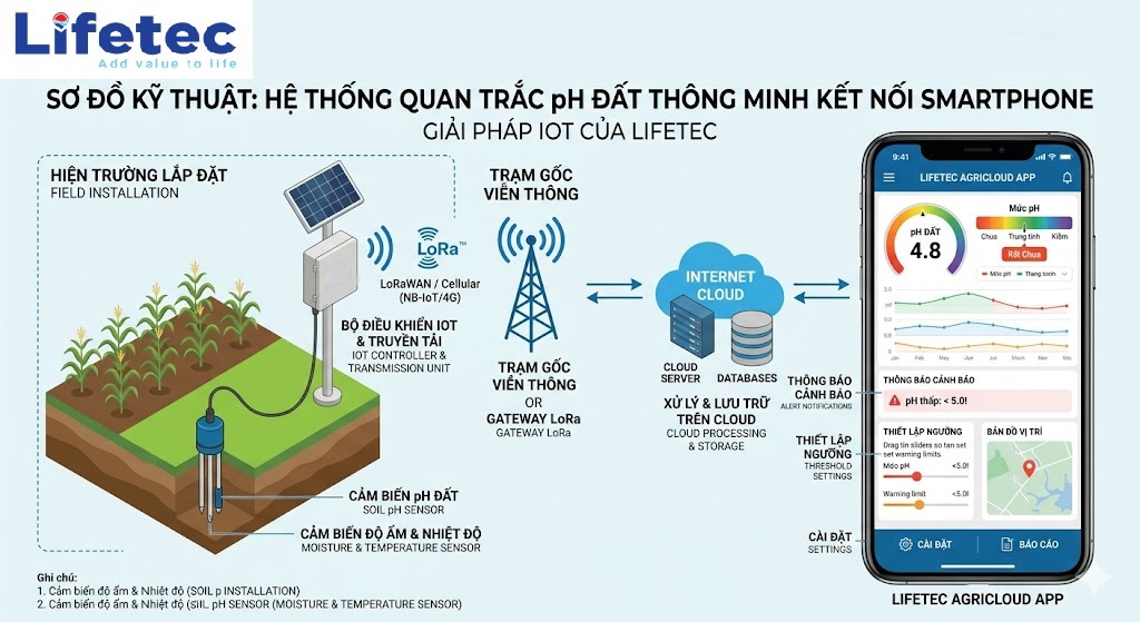Xử lý đất nhiễm phèn Lifetec
