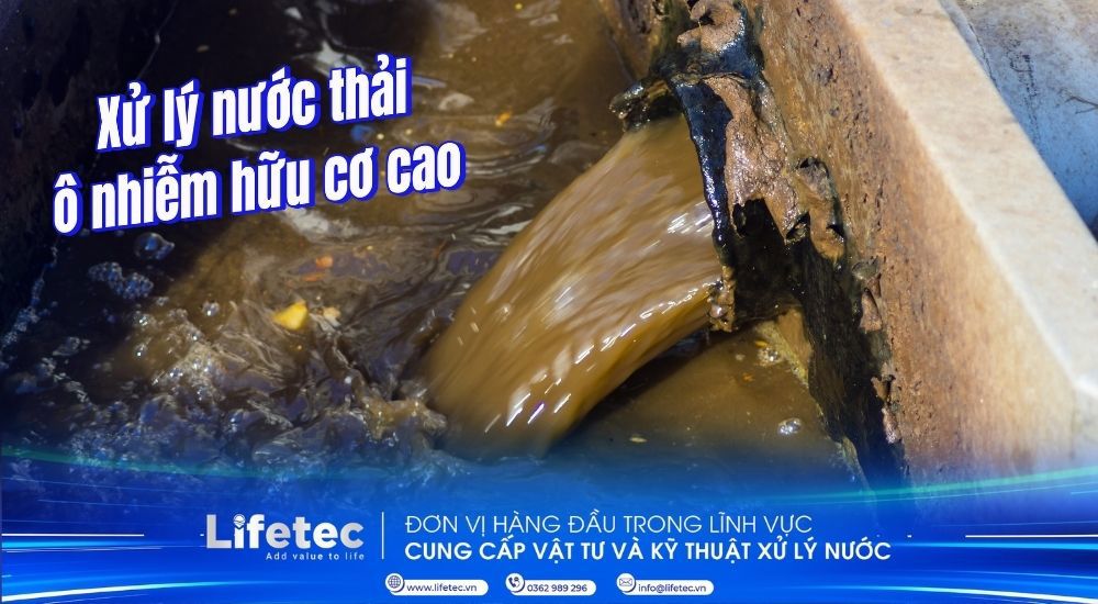 Xử lý nước thải ô nhiễm hữu cơ cao | Giải pháp công nghệ tối ưu cho doanh nghiệp 2026