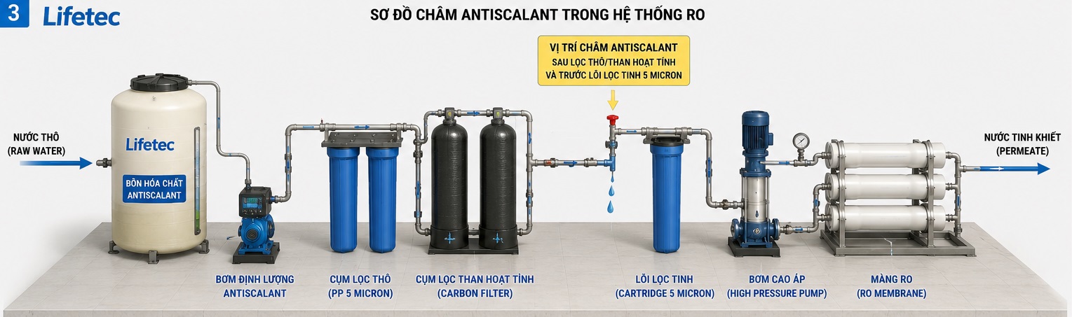 Sơ đồ lắp đặt bơm định lượng và vị trí châm hóa chất chống cáu cặn RO chuẩn kỹ thuật