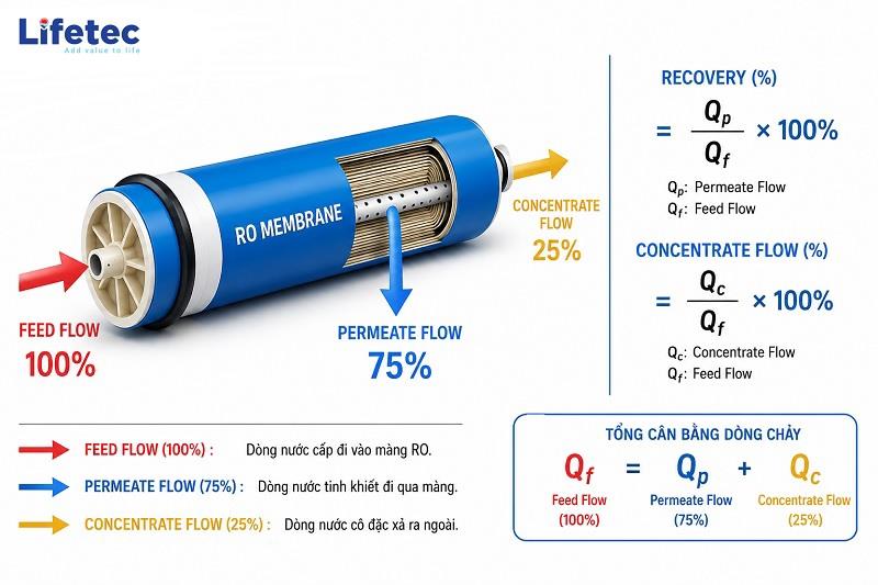 Cách tính tỷ lệ thu hồi (Recovery Rate) và tỷ lệ loại bỏ muối (Salt Rejection) của màng RO