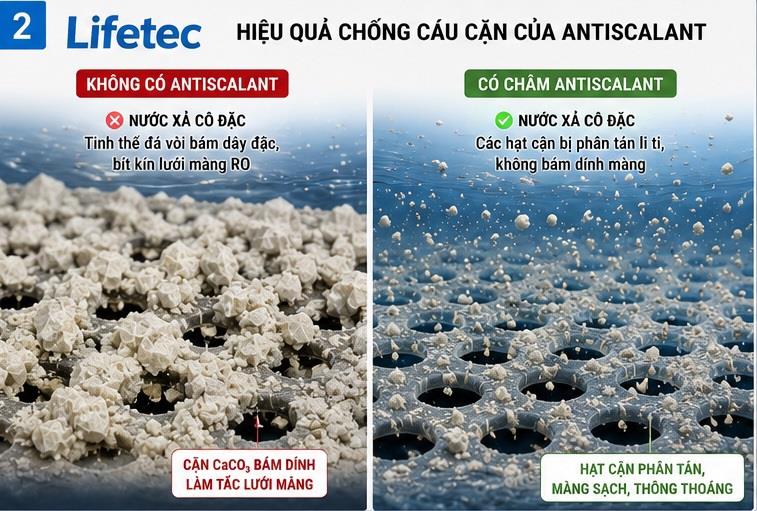 Antiscalant là gì? Tác Dụng Của Hóa Chất Chống Cáu Cặn Màng RO