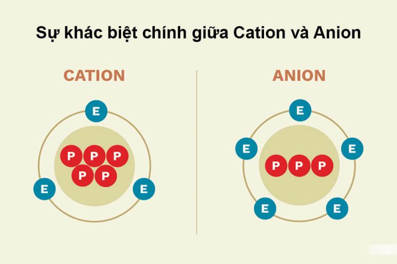 So sánh hạt nhựa Cation và Anion | Giải pháp nào tối ưu cho xử lý nước