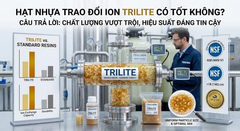 Hạt Nhựa Trilite Có Tốt Không? Đánh Giá Chi Tiết Từ A–Z