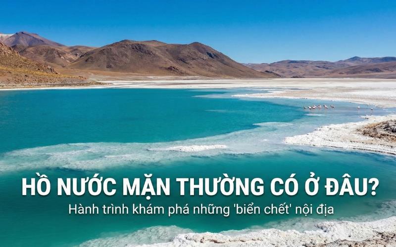 Hồ nước mặn thường có ở đâu? Hành trình khám phá những “biển chết” nội địa