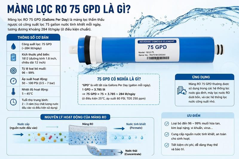 Màng Lọc RO 75 GPD Là Gì? Cấu Tạo, Công Suất & Nguyên Lý Hoạt Động