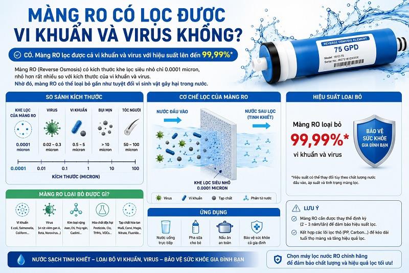 Màng RO Có Lọc Được Vi Khuẩn, Virus Không? Lời Giải Đáp Chi Tiết