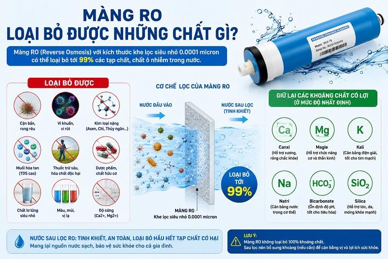 Màng RO Loại Bỏ Được Những Chất Gì? Bảng Đánh Giá Tạp Chất Chi Tiết