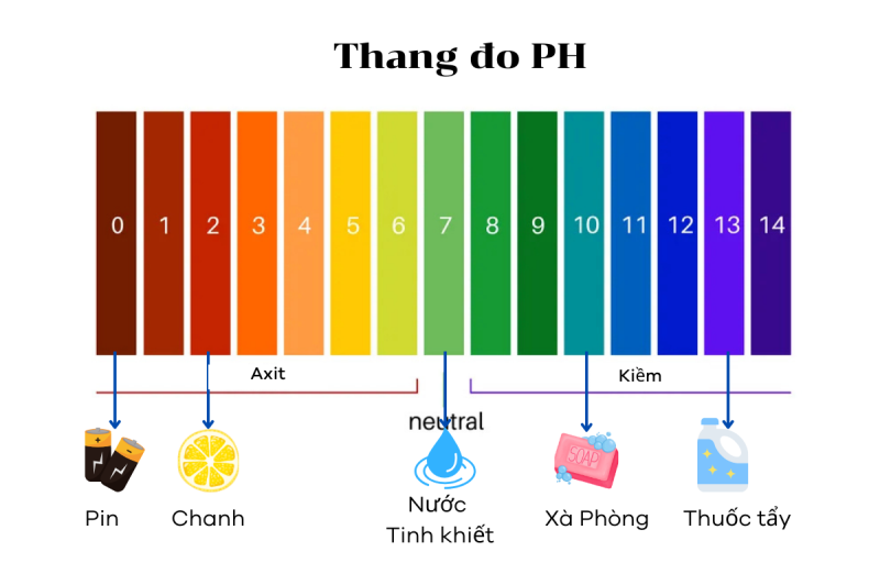 Cách tính pH của dung dịch | Công thức và ví dụ chi tiết từ cơ bản đến nâng cao