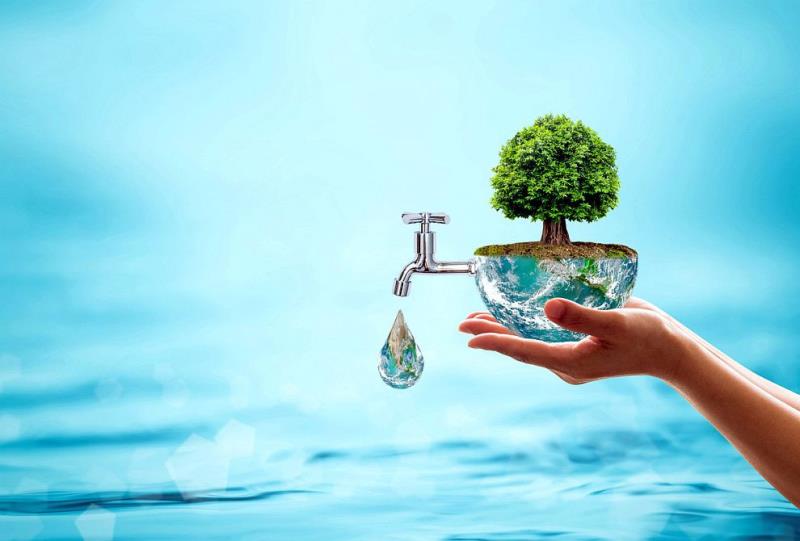 Vai trò của nước đối với sinh vật | Khởi nguồn và duy trì sự sống